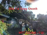 Bán Đất Ngõ 20 Cao Xanh. Dt:75.3M2,mt:6M.h:tây Nam. Đường Bằng Phẳng !!!