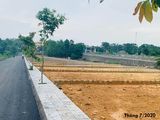 Chính Chủ Bán Đất Phân Lô Hòa Lạc, 94.2M2, Kd Rất Tốt, Ô Tô Vào, 11,5 Triệu/m2, 0911321198