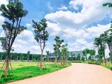 Chính Thức Mở Bán Con Đường Phố Đị Bộ Bmt Tại Khu Đô Thị Eco Premia. Giá Chỉ 24Tr/m2