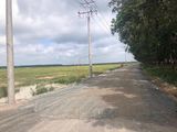 Đất 1000M2 Giá Chỉ 630 Triệu Gần Kcn Chơn Thành1-2_Bình Phước