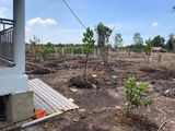 Đất Vườn,1200M,tân Thạnh Tây,củ Chi.