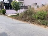 Bán Gấp Đất Thổ Cư 1000 M2 Bùi Văn Sự Bình Chánh