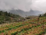 Cần Bán 27766M2 Đất Sinh Thái Xã San Sả Hồ, Sapa, Giá Chỉ Hơn 500.000Đ/m2
