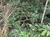 Bán Đất View Đẹp Có Thác, Suối Bao Quanh, Có Hồ, Thích Hợp Đầu Tư, Kinh Doanh Homestay, Nghỉ Dưỡng
