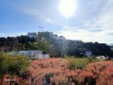 296,8M2 Nền Đất Biệt Lập 2 Mặt Tiền View Thung Lũng Phường 11 Giá Chỉ 26 Triệu/m2