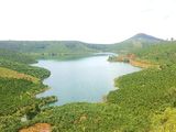 Cần Tiền Bán Gấp Lô Đất 500M2 View Hồ