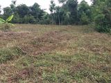 Bán Đất Xã Sông Xoài. Dt: 564 M2. Sổ Hồng Riêng. Giá: 600 Triệu.