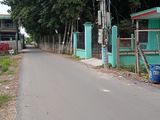 Chính Chủ Bán Lô Tân Định , Tx Bến Cát , Bình Dương Diện Tích 4.5X44M Nở Hậu 6.45M 224.4M² Thổ Cư 100M