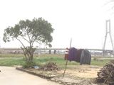 Bán Lô Đất Mặt Tiền Trần Văn Phương Diện Tích 146M2 Giá Mềm