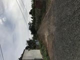 Đất Tiềm Năng Nhất Cho Khách