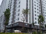 Cho Thuê Mặt Bằng, Lớp Học, Showroom Tại Tttm Green River Đường Phạm Thế Hiển , Q8. Lh: 0932.032403