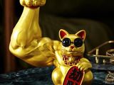 Thanh Toán 200 Triệu Cam Kết Lời 30% Với The Rivana.