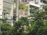 Bán Nhà Đường Bầu Cát Tân Bình, Dt 5*15 Giá 7.8 Tỷ.