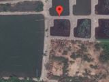 Bán 6000 M2 Đất Xã An Thới Đông, Giá 950K/m2