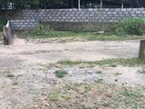 Bán Đất Nguyên Duy Cung Phuong Thủy Phương Giá 480Tr