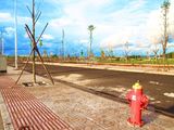 Đất Nền Sổ Đỏ Ngay Trung Tâm Buôn Mê Thuột Kđt Ân Phú – Đón Đầu Cuộc Sống Thịnh Vượng