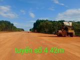Bán Vài Lô Đất Tuyến Số 4, Lộ Giới 42M , Đất Thổ Cư , Gần Khu Công Nghiệp Becamex 6300 Ha ,sổ Hồng Riêng