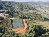 Bán Lô Đất Rộng Đẹp 2575M Có View Tiện Nghỉ Dưỡng, Phân Lô Tại Hiệp An, Đức Trọng
