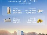 Chỉ Với 600Tr Sở Hữu Ngay 1 Căn Hộ Mặt Biển, Đầu Tư Sinh Lời Hiệu Quả Vĩnh Viễn