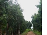 Hàng Gọp Giá Rẻ Khu Vực Xã Tiến Thành Tp Phan Thiêt ,bình Thuận