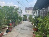 Đất Bán Chánh Nghĩa, Thủ Dầu Một, Bình Dương