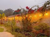 Bán Đất Tái Định Cư Nông Trường Đồng Mô, Sẵn Nhà Khuôn Viên Đẹp Lung Linh, Về Ở Luôn. 0962349368
