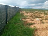 Chính Chủ Cần Bán 6500M2 Đất Nông Nghiệp Trồng Lagim Tại Xã Kađơn - Đơn Dương - Lâm Đồng