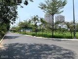 Bán Đất Nền Tại Khu Dân Cư 13B Conic, Nguyễn Văn Linh, Phong Phú , Bình Chánh