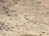 Đất Thổ Cư Yên Vĩnh 39.5M2 Cách Trục Chính, Ô Tô Đỗ Ngày Đêm 30M