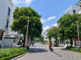 Hồ Tùng Mậu 87M Oto Vào Nhà Sđcc Nhỉnh 5 Tỷ