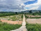 Đất Đầu Tư Tại Xã Đông Thanh - Huyện Lâm Hà - Lâm Đồng, Sổ Riêng, Thổ Cư Giá 430 Triệu