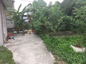 Bán Đất Xã Nguyên Khê, Đông Anh, Hà Nội, Sđcc Diện Tích 43M2, Ô Tô Đỗ Cửa. Giá 12 Tr/ M2