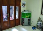 Bán Nhà 40M2 Đội Cấn, Ngõ Thông Thoáng, Nhà Mới, An Ninh Tốt, Giá 3.3 Tỷ