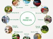 Cập Nhật Thông Tin Mới Nhất Căn Hộ Dic Phoenix Giá Sốc Khu Vực Vũng Tàu