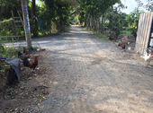 Bán Lô Đất Thổ Cư Xây Nhà Gần Ủb Xã Bình Mỹ: 4mx12m/ 240tr. Đường Thông 5m, Bao Gpxd, Khu Dân Cư