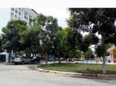 Bán Đất Nền Đúng Giá, Đất Xây Trọ Gần Kcn Lê Minh Xuân, MT Trần Đại Nghĩa