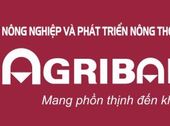 Agribank Bình Dương Thanh Lý Gấp Đất Đô Thị Mới,chỉ 310Tr/nền, Ht Vay 80%