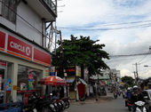 Bán Nhà 4 Lầu Mặt Tiền Đỗ Xuân Hợp. Dt: 6x31=181m2
