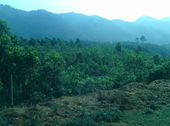 Đất Rộng Với 2000m Thổ Cư