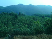 Đất Rộng Với 2000m Thổ Cư
