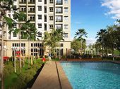 Cơn Bão Ecohome Phúc Lợi Chỉ Với 250 Triệu, 67m2, Vay Ngân Hàng 70%, LS 0%, CK 30tr, 01699577135