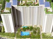 Cơn Bão Ecohome Phúc Lợi Chỉ Với 250 Triệu, 67m2, Vay Ngân Hàng 70%, LS 0%, CK 30tr, 01699577135