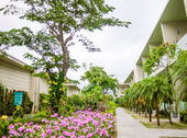 ❌❌ Condotel Flc Chỉ Từ 1,7 Tỷ Có Ngay 325 Triệu/Năm ❌