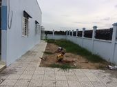 Bán Nhà Ấp Thượng, Tân Thông Hội, Củ Chi, Hcm – 01655493554