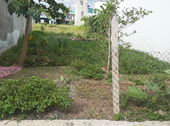 Bán Đất Đường Tl 15, Gần Chung Cư Thạnh Lộc, 8X14M. Shr, Bao Sang Tên. Giá 2 Tỷ 6 Tl.