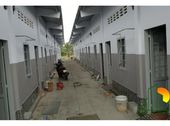 Kinh Doanh Thua Lỗ Bán Gấp 2 Dãy Trọ Đang Cho Thuê Và 600m2 Đất Ngay Kcn 420Tr