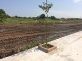 Tin Nóng Hổi Cho Những Ai Muốn An Cư Lập Nghiệp Xây Dựng Tổ Ấm Hay Đầu Tư Kinh Doanh.