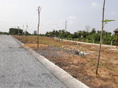 Đất Chợ Bình Chánh, Đường Đinh Đức Thiện, Sồ Riêng, Ck5%, 430tr/Nền. Góp 1 Năm