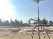 Đất Ven Biển Đà Nẵng, Vị Trí Vàng, Cơ Hội Mua Giá Gốc Duy Nhất, LH : 0985977738 Hoặc 0933577738