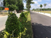 Đất Nền Giá Rẻ Khu Dân Cư Phước Thái - Long Thành